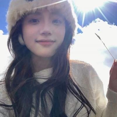 盗贼生涯