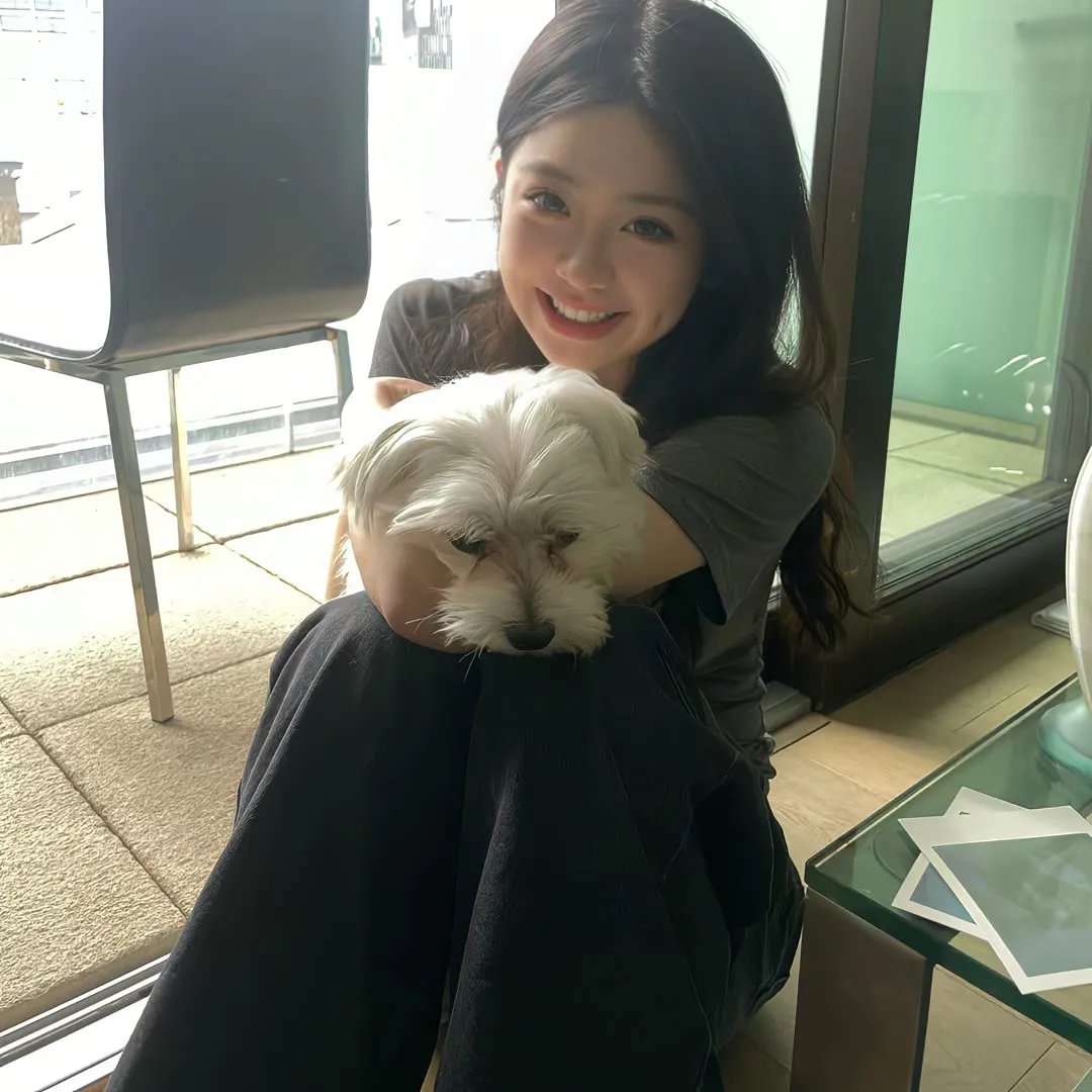 犯罪都市4
